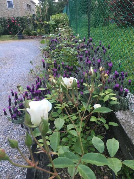 CasaNobile - Suite Il Grano