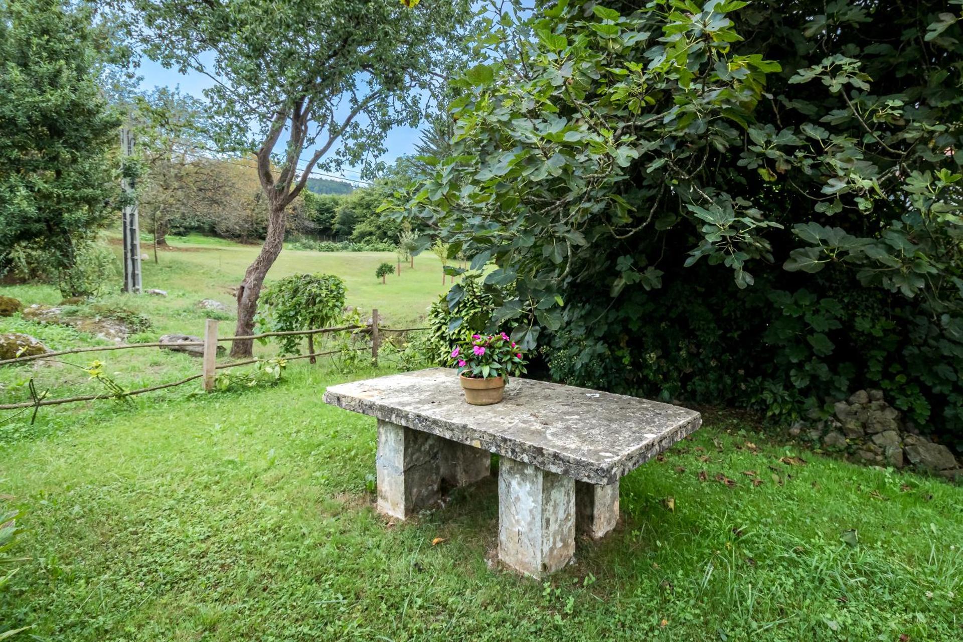 La Torrentera de Cantabria