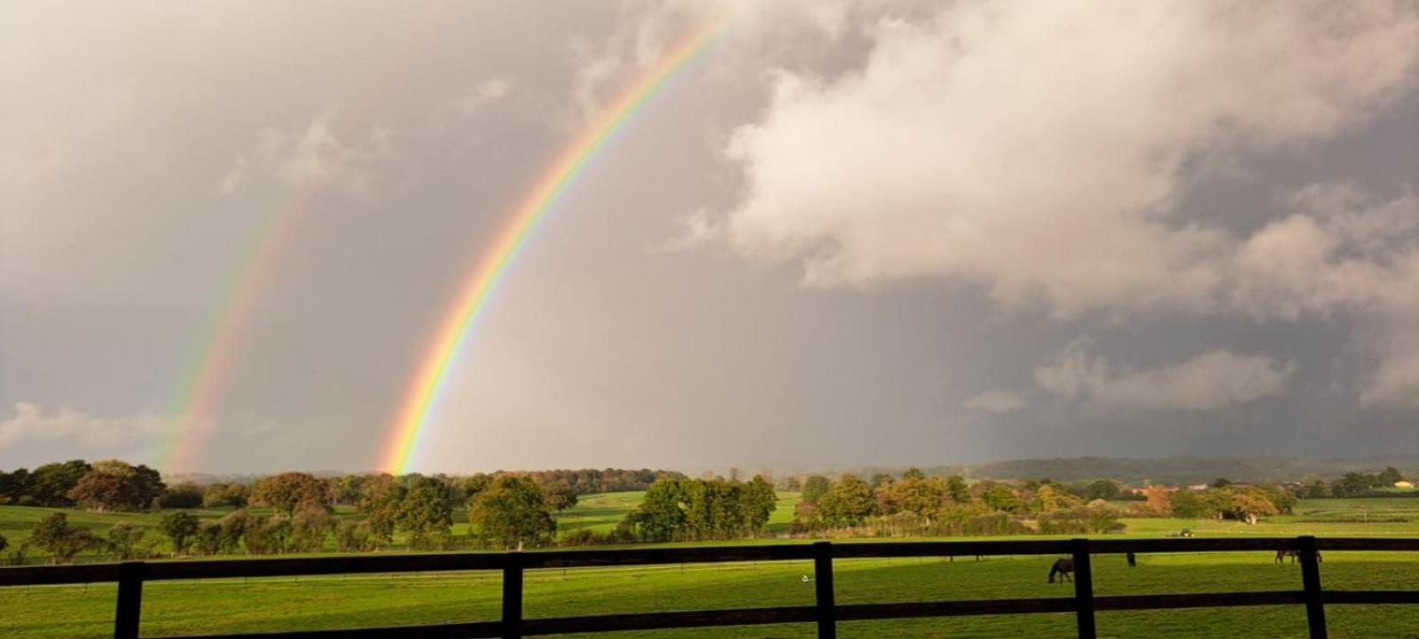 Maison de charme en campagne, 5 min du haras du pin