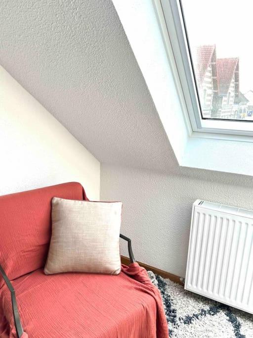 Grand appartement en centre ville