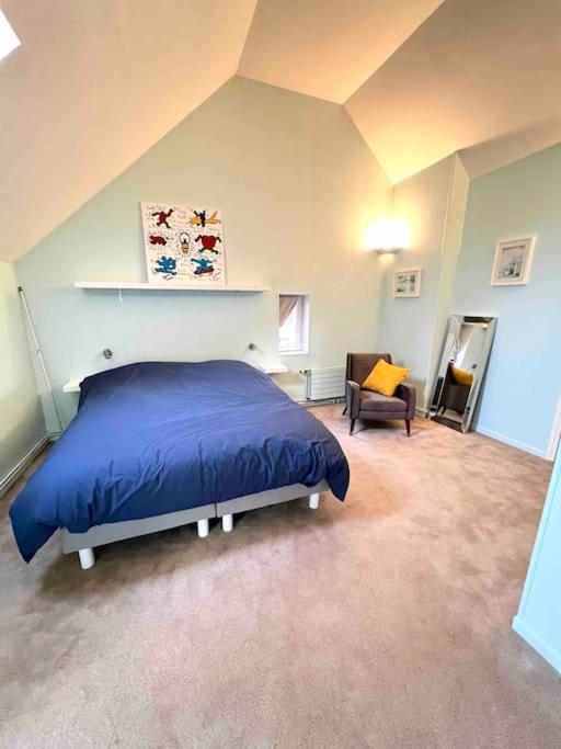 Grand appartement en centre ville