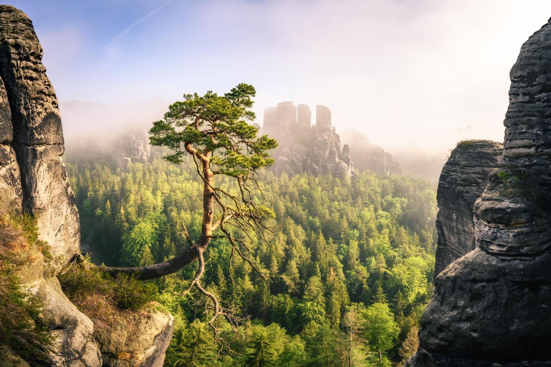 Ferienquartier- Forsthaus