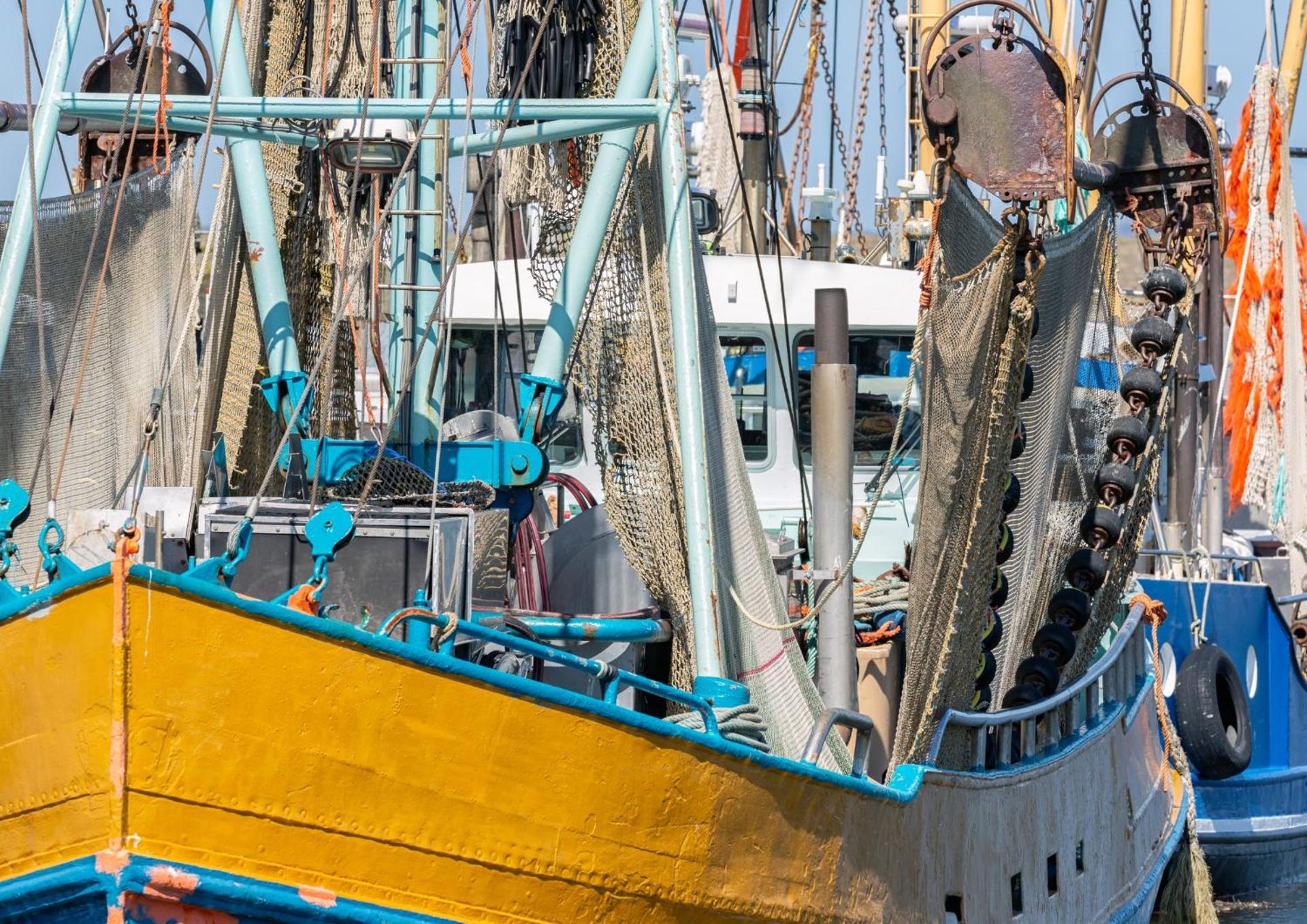 Petit coin de paradis à Port-Leucate