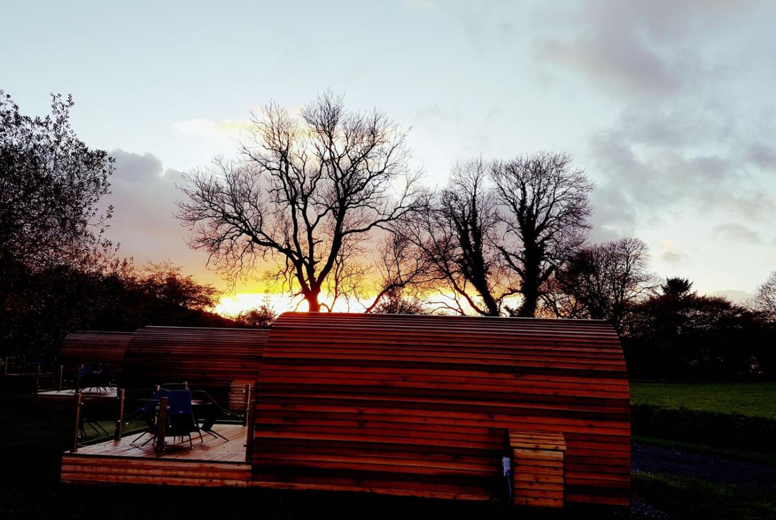 The Kingfishers Burrow