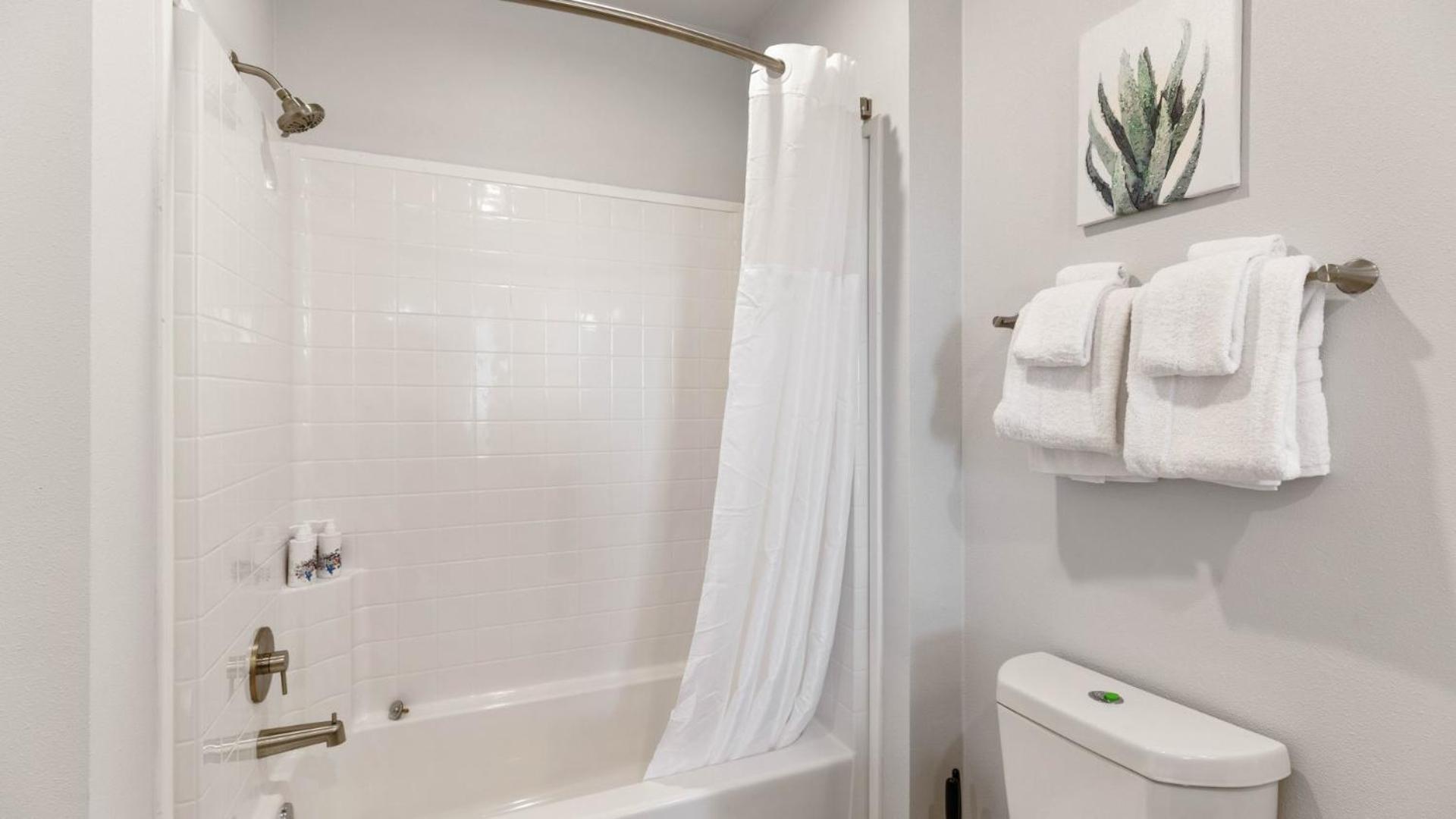 Luxury 1 Bedroom 1Bath Convention Center