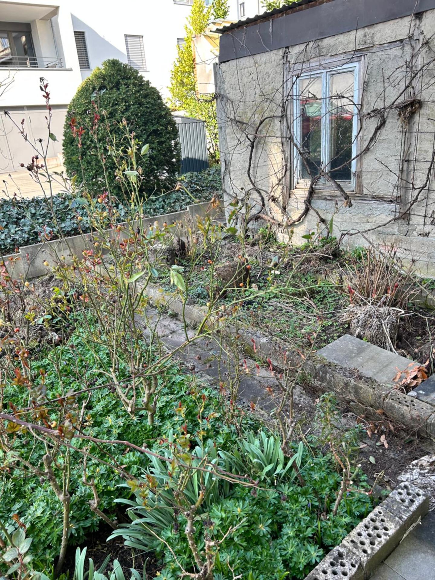 View (from property/room)