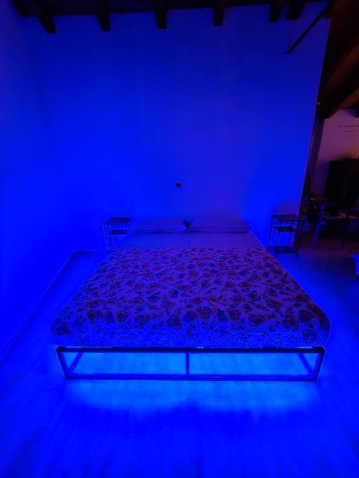 The view Lake ,Appartamento Blevio Fronte lago Como