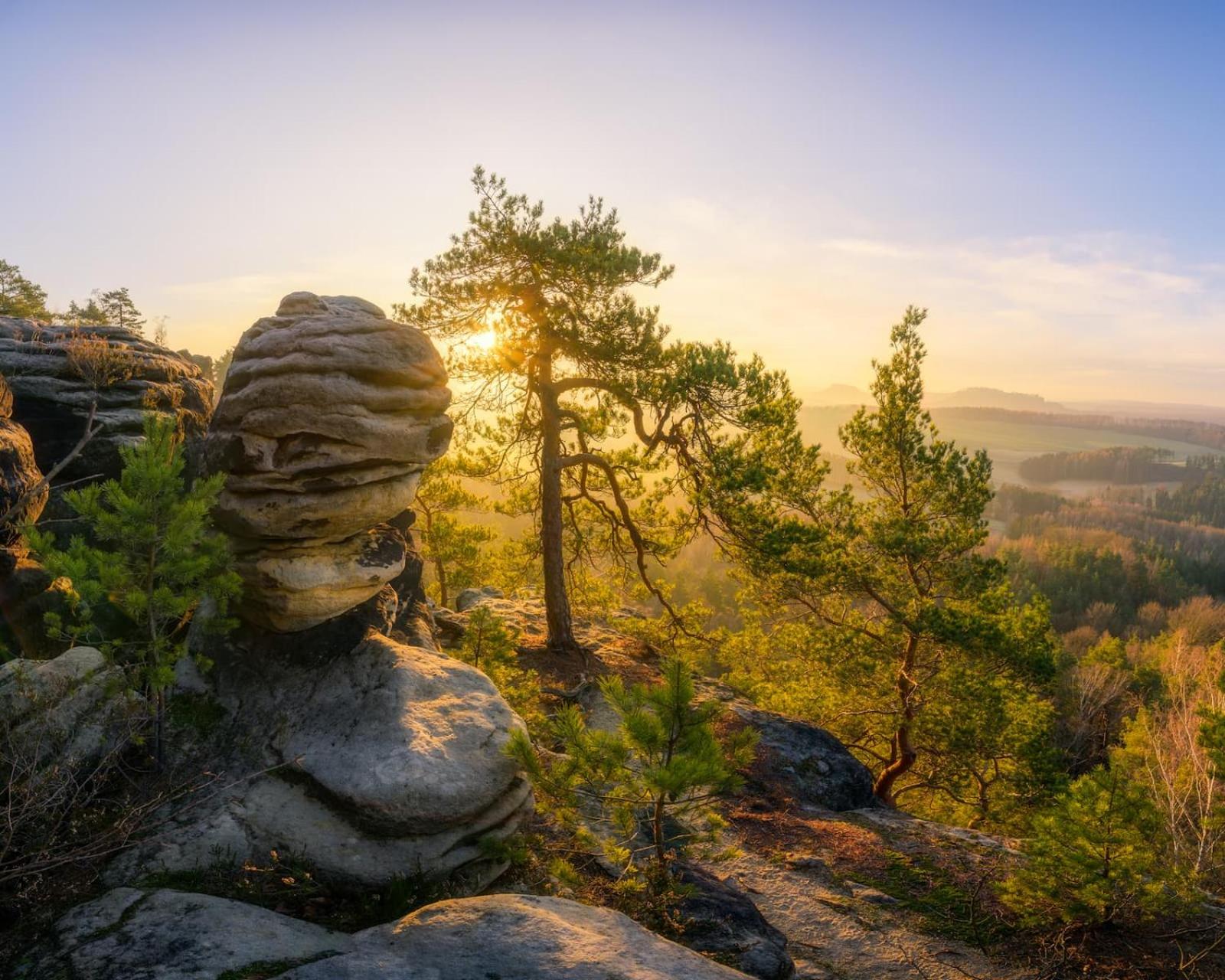 Ferienquartier- Forsthaus