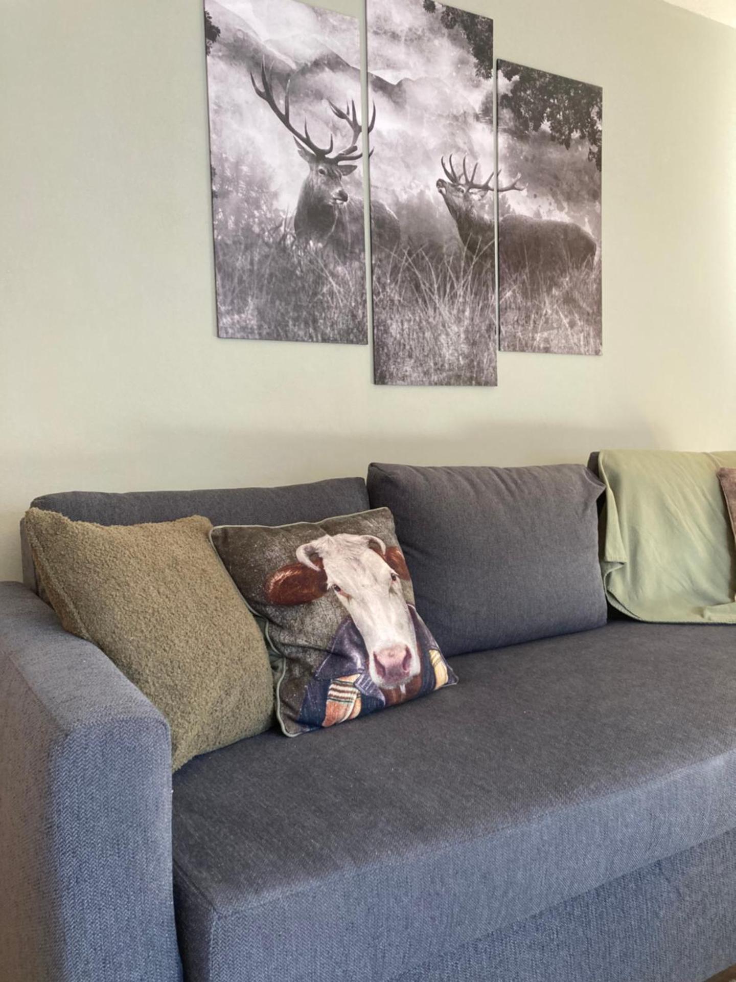 Renovated flat facing Mont Blanc