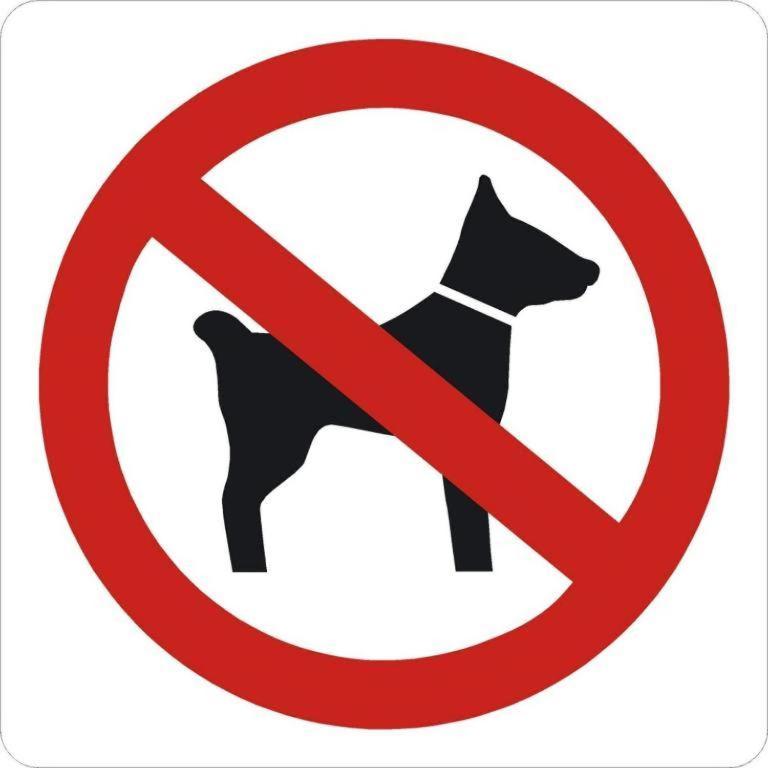 Ard'envie Bed&Breakfast