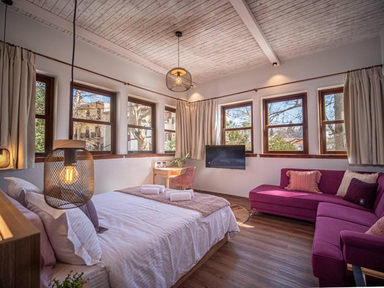 Αρχοντικό Πορταριάς