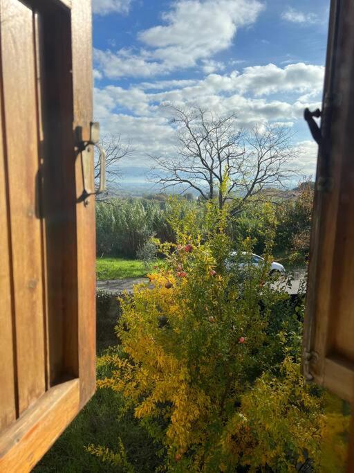 Villa Pampaloni - Intera Villa vacanze con Buffet di benvenuto