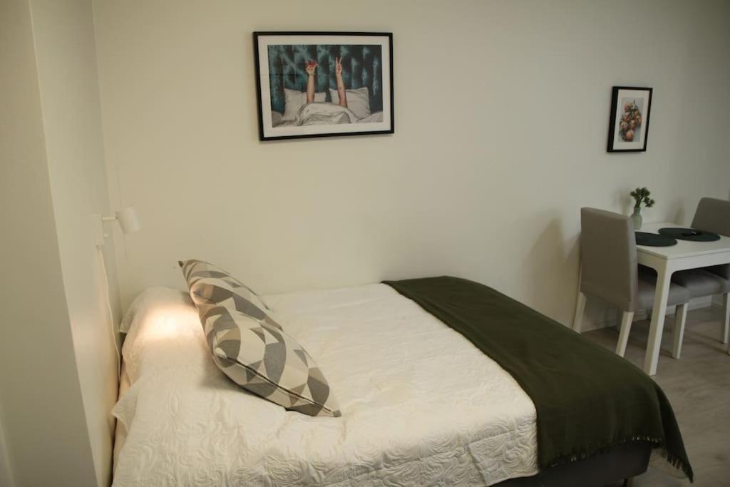 Kodikas hyvin varusteltu yksiö, autopaikalla