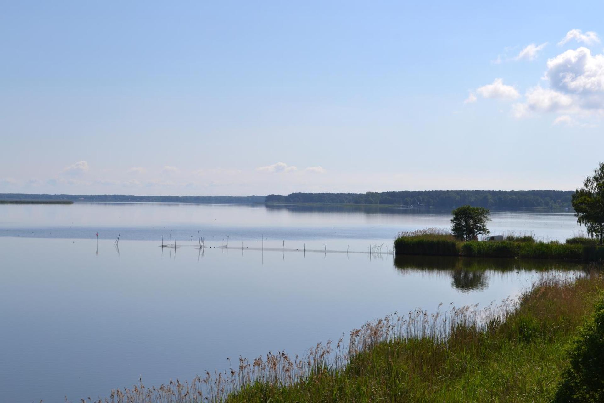 Ferienwohnung ab zum Haff
