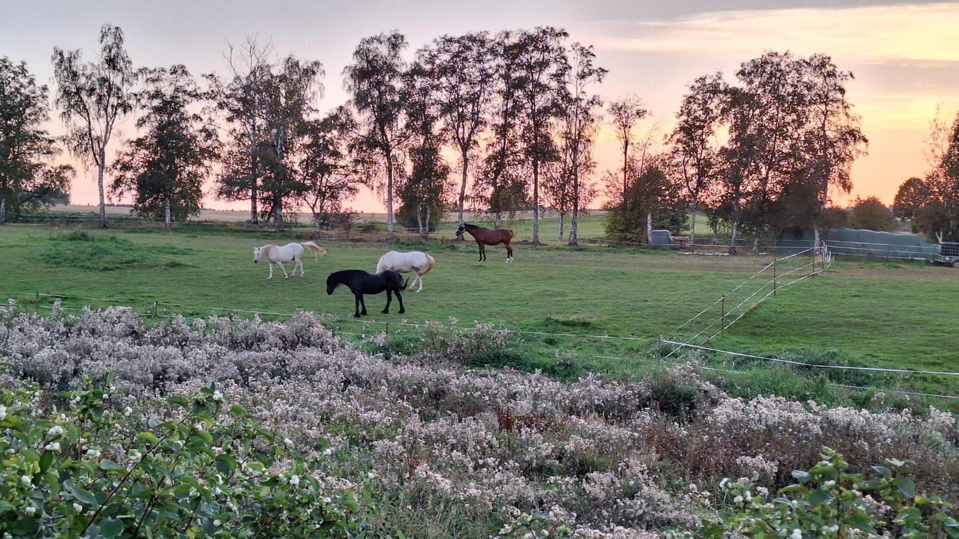 JS Feriendomizile Haus Abendrot