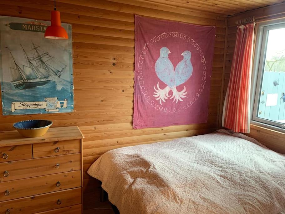 Bo i vandkanten på Avernakø