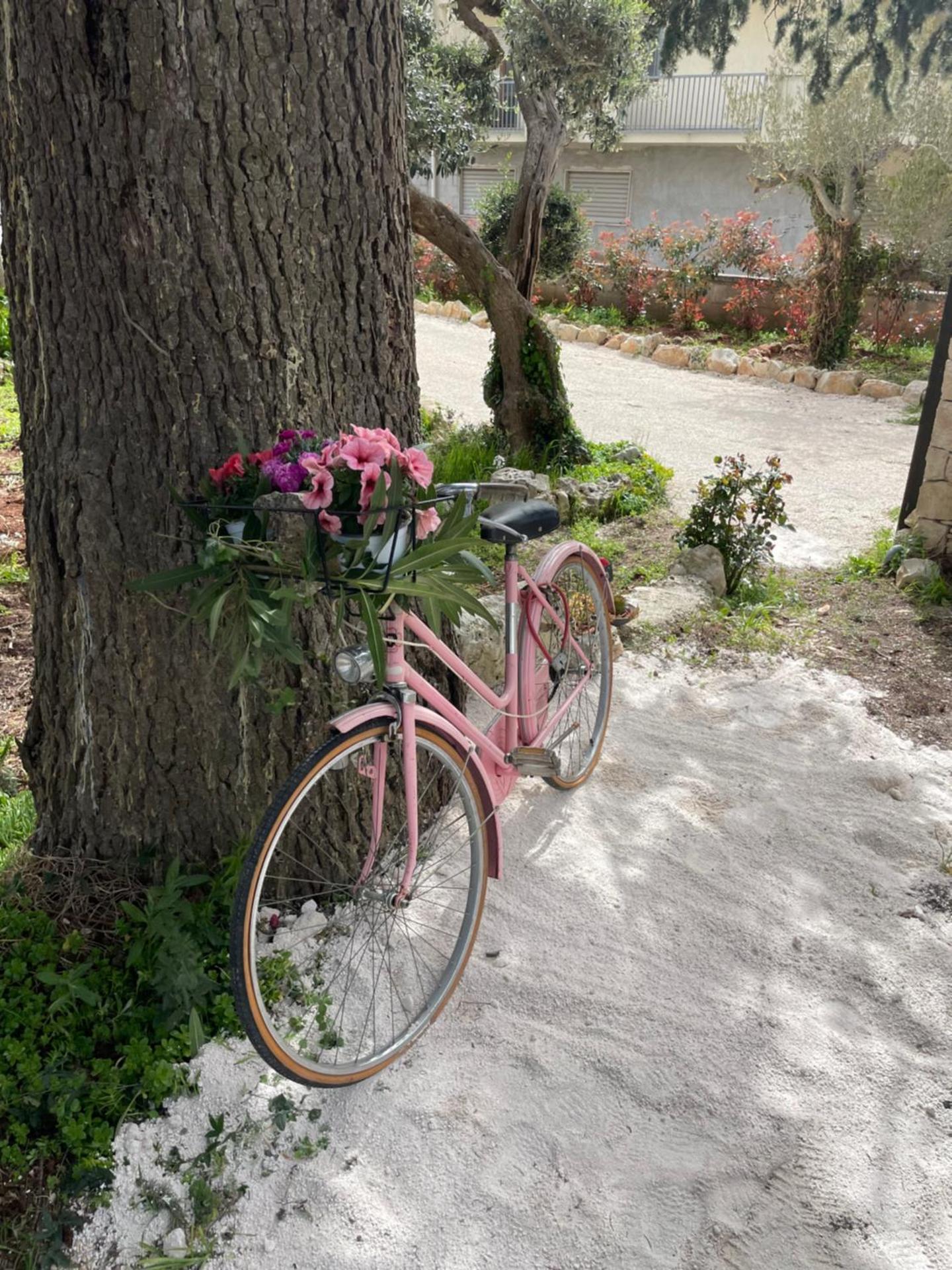 Il trullo di nonno Licchio