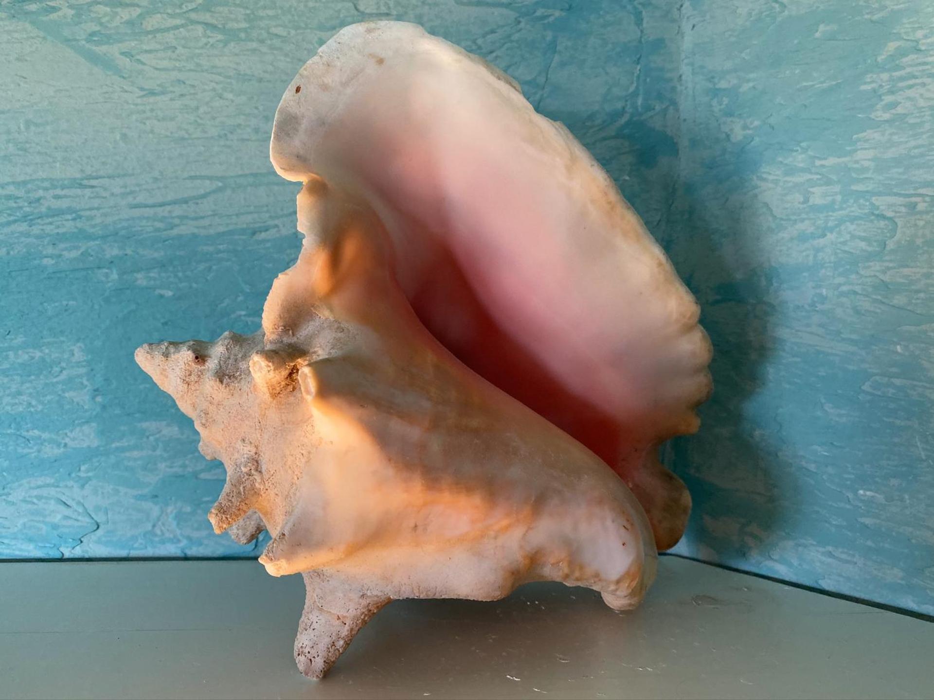 Country Cottage of Langley