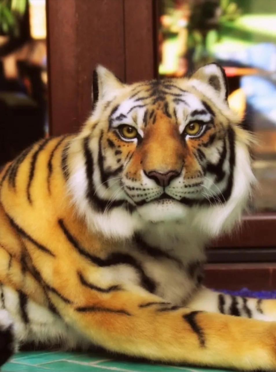 Riad Agraba, 1001 nights