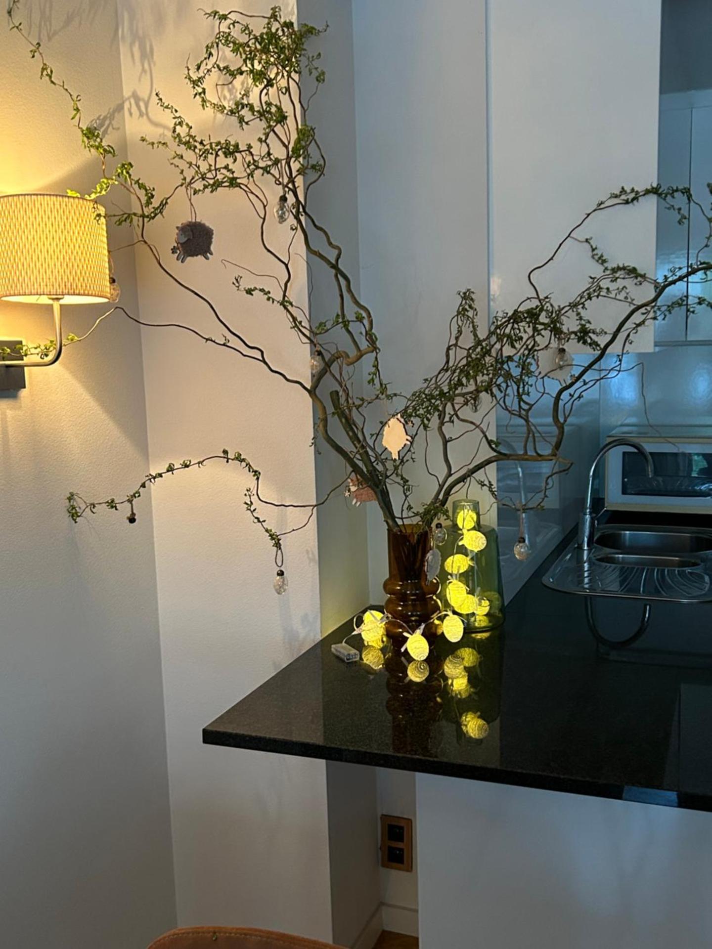 Centraal gelegen gezellig verblijf met groot terras