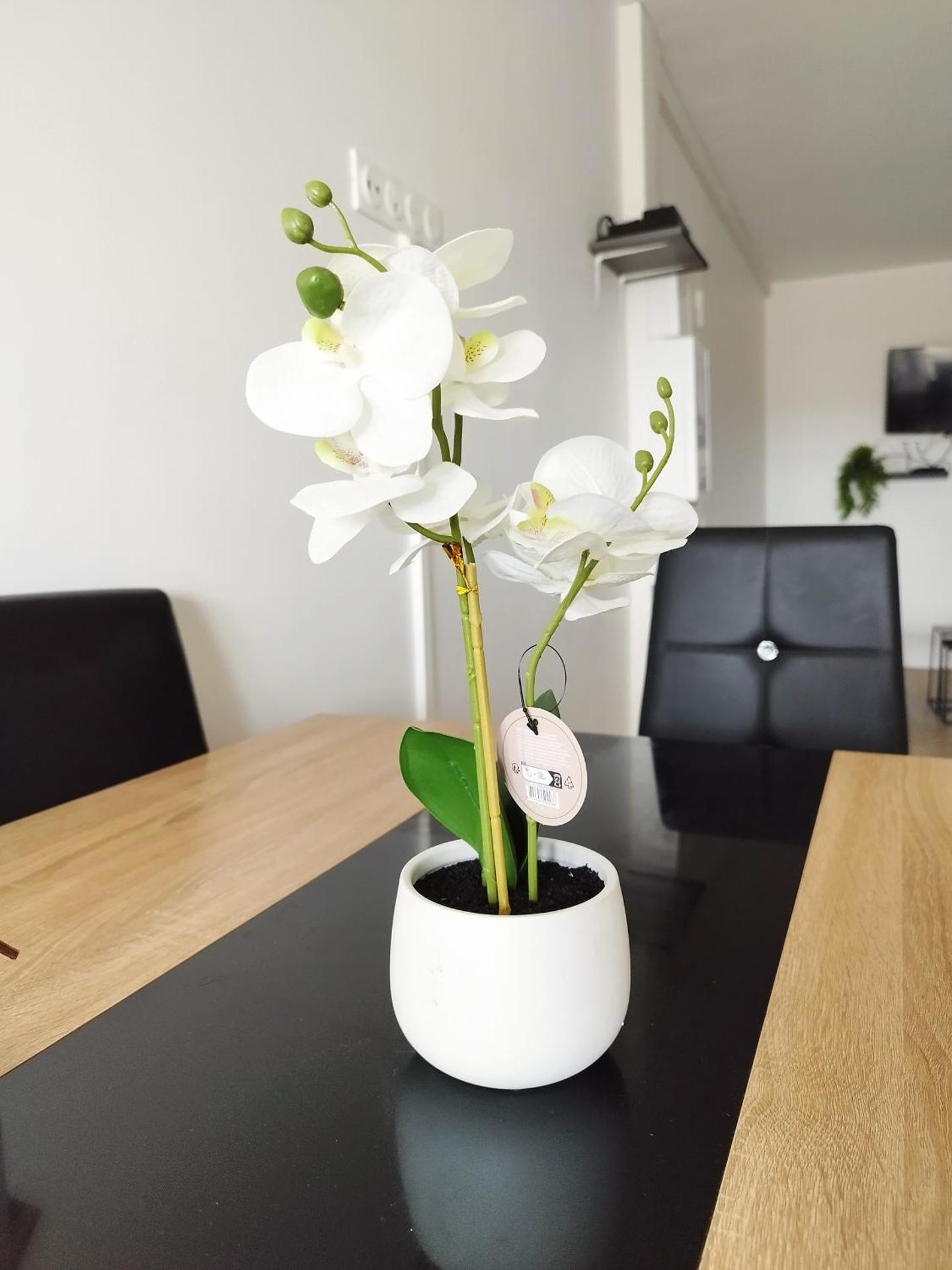 Parisian Cosy flat with Balcony