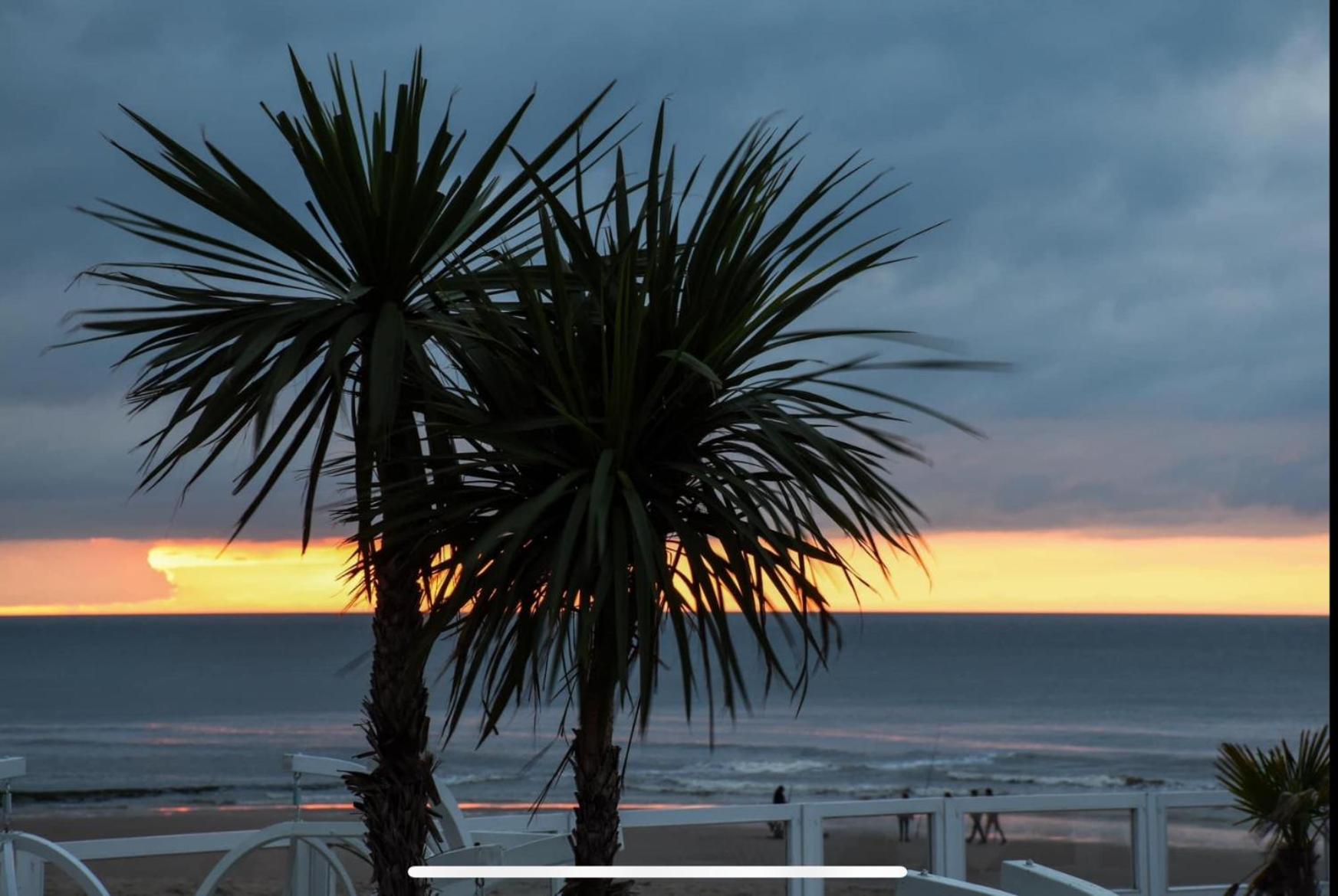 Zeezicht, volledig gerenoveerd luxe appartement