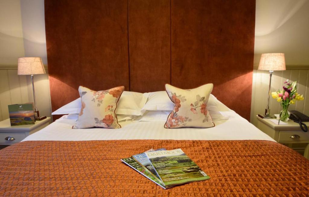 Cozy Double or Premium Single Room