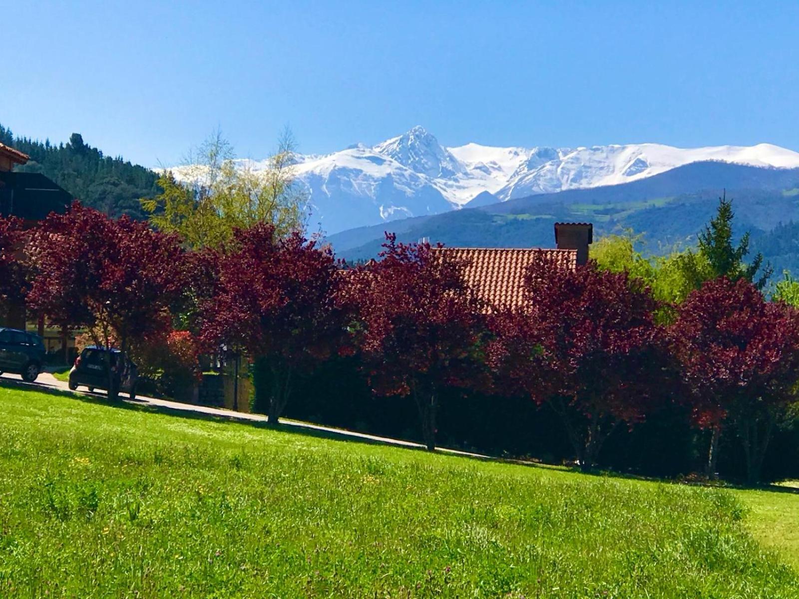 Apartamentos Alquitara