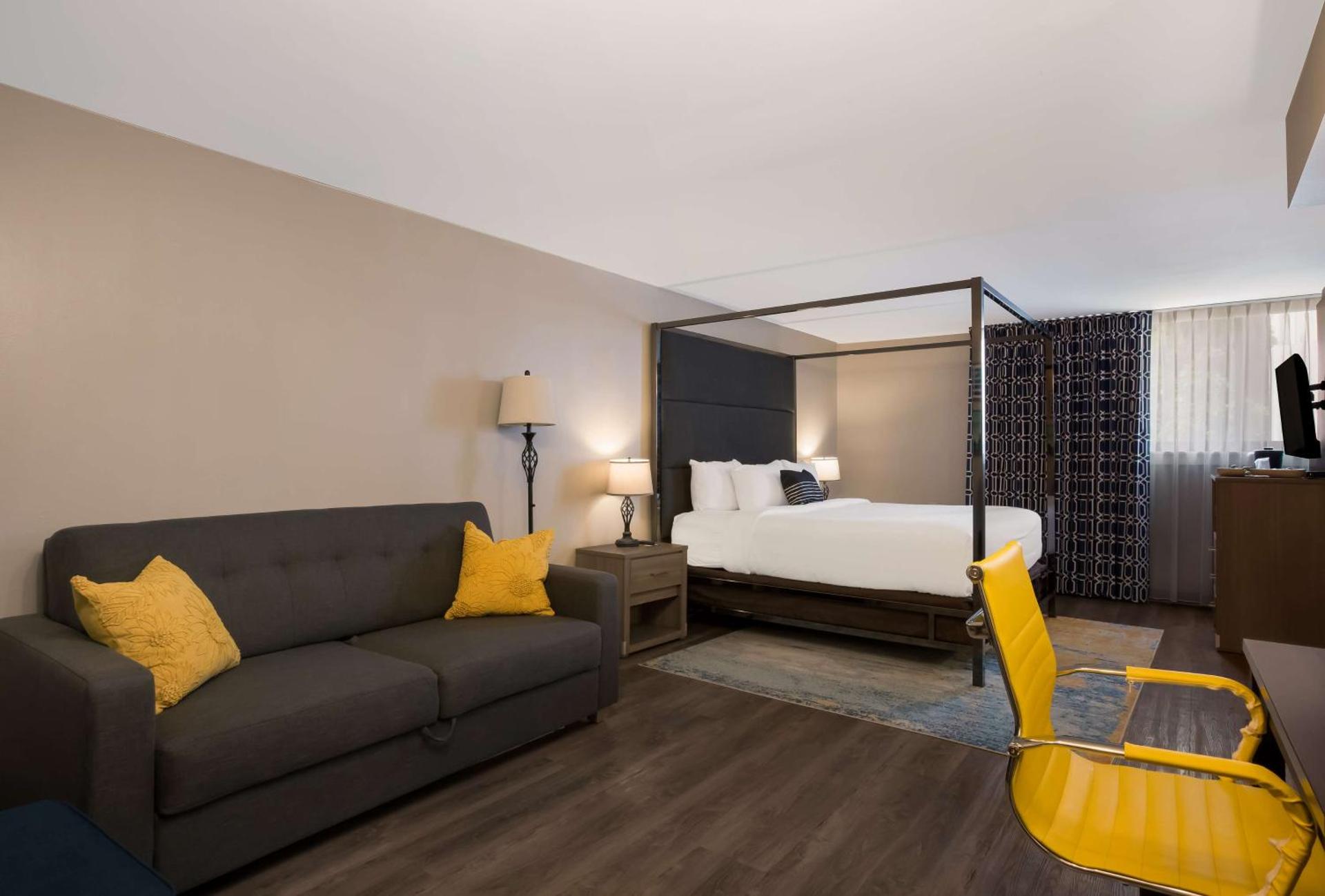 Photo of the whole room