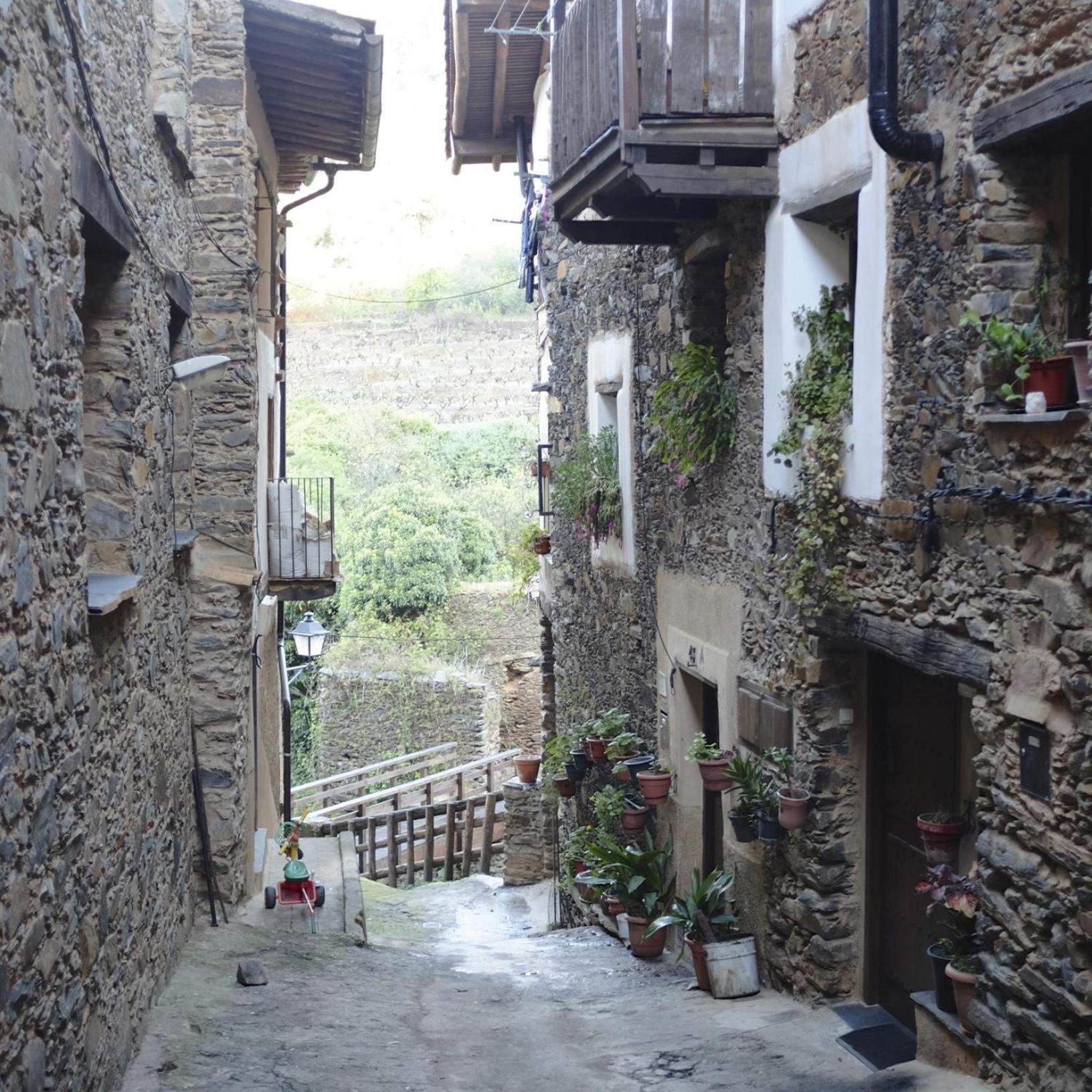 Casa Rural La Ortiga