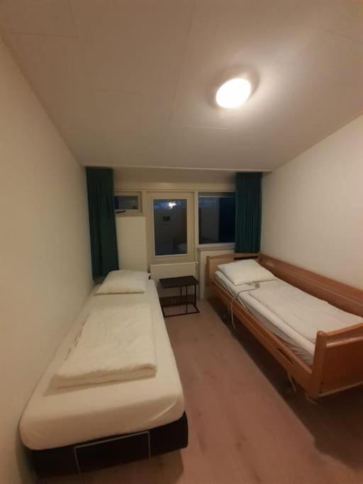 Saevis tranquillus in undis in de IJsvogel