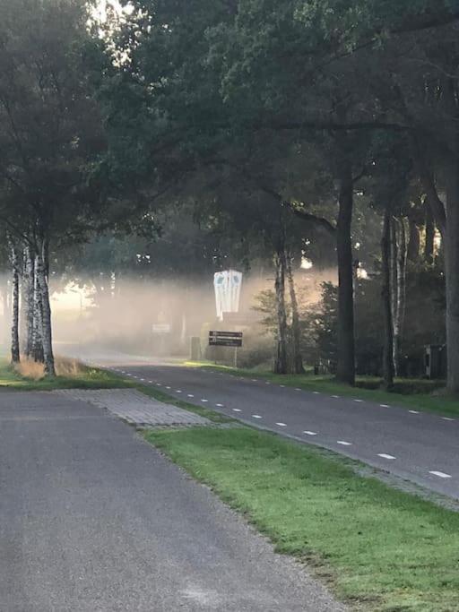 Saevis tranquillus in undis in de IJsvogel