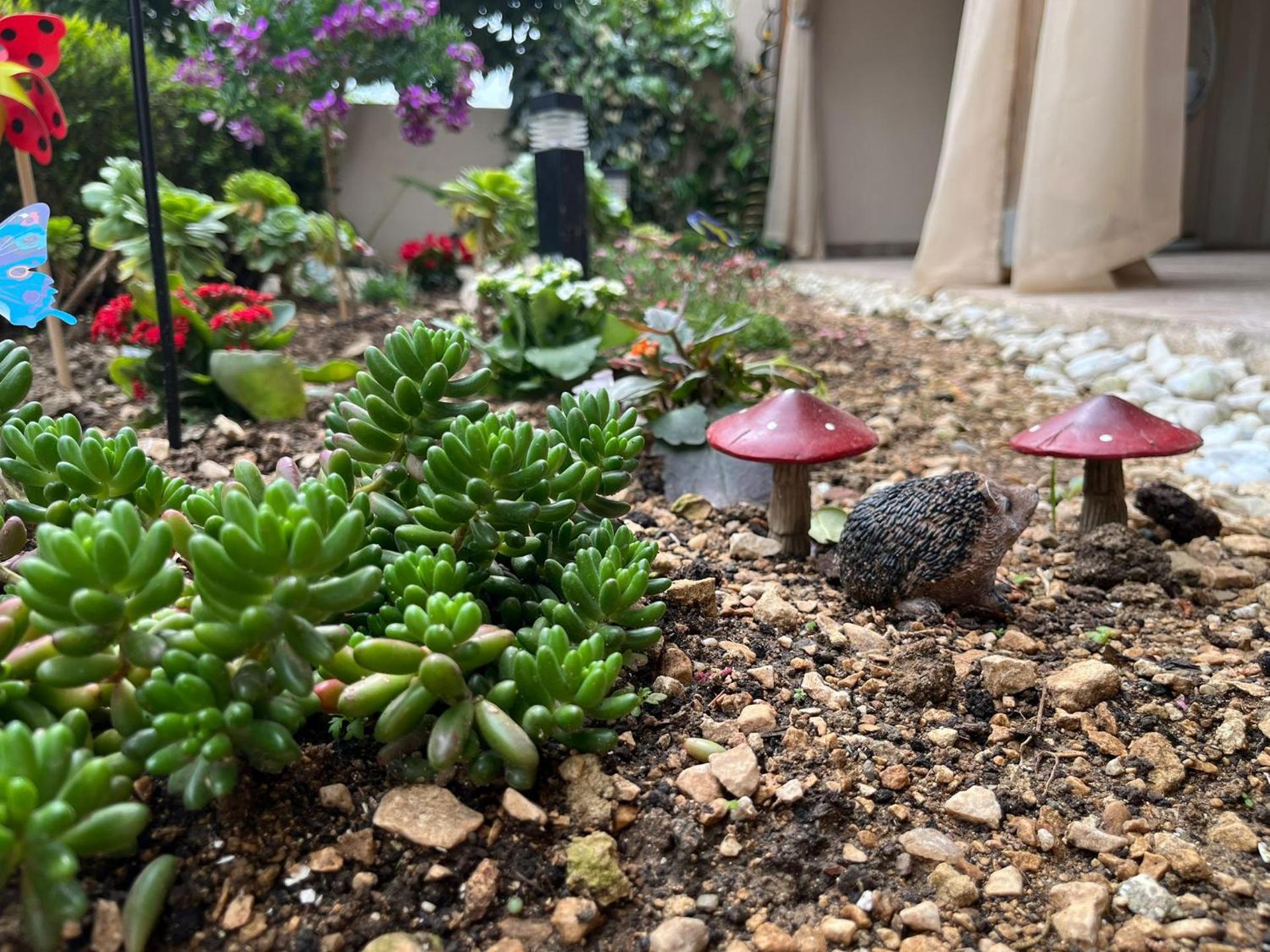 Dioklecian Dream Apartment