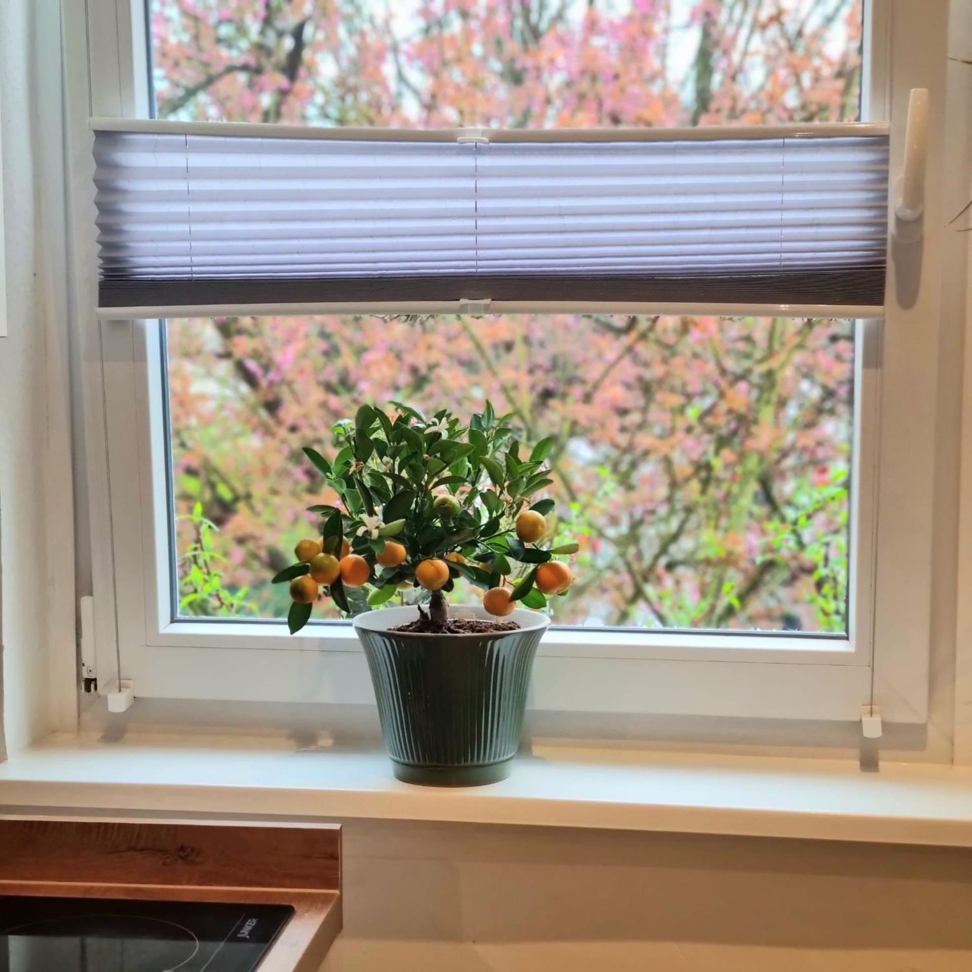 Ferienwohnung Fleiger 3 in Achim Zentrum