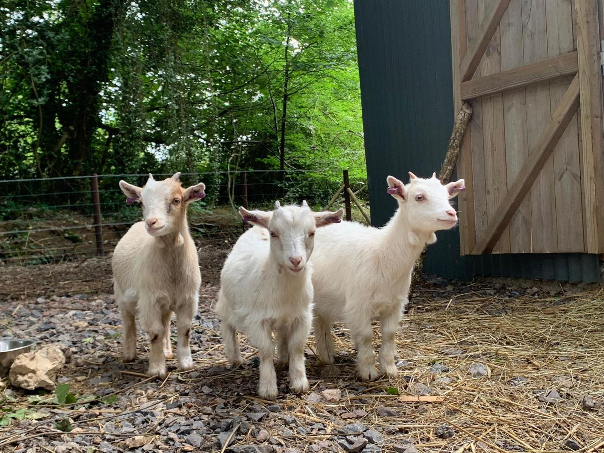The Annexe at Riverside Cottage