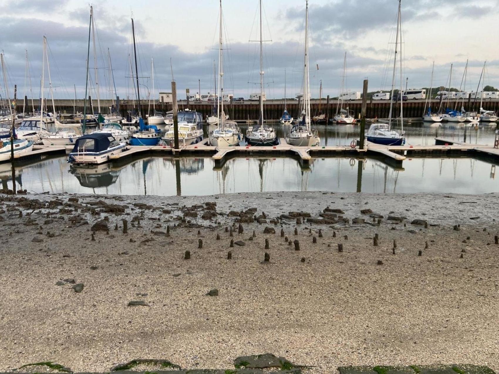 Ferien im Wangerland - Haus Wiesenweg - Apartment 2 1OG