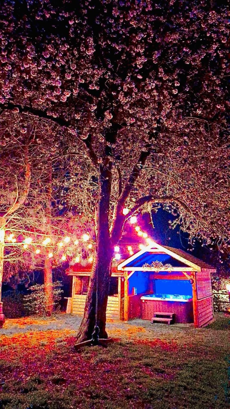 Whiskers and Woods Shepherd Hut