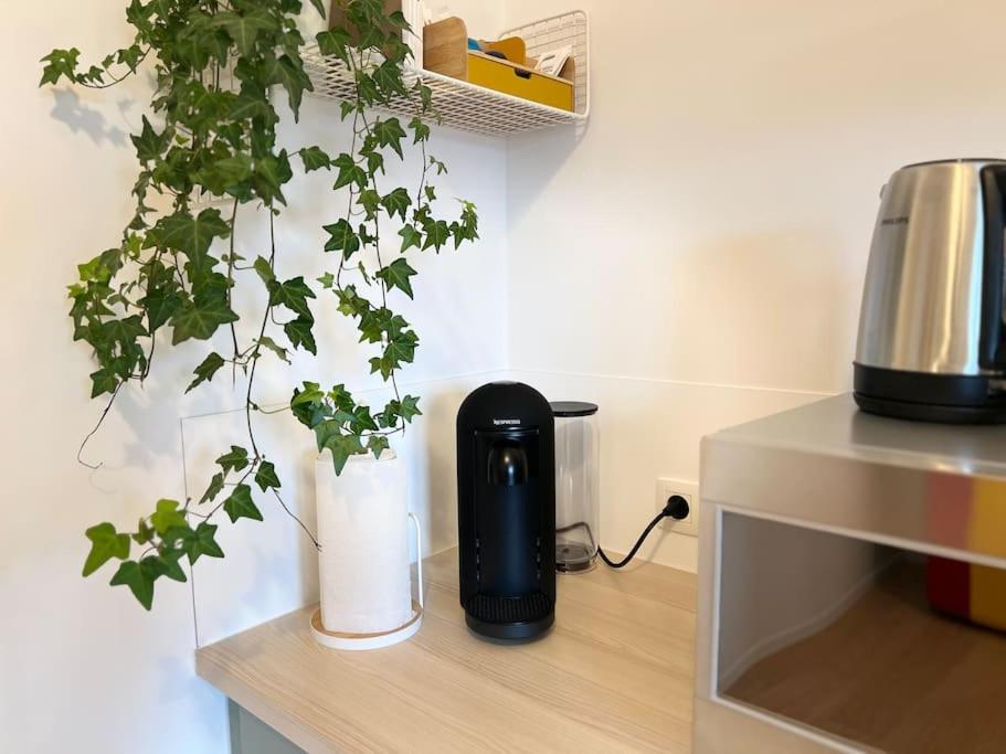 Duplex chic et spacieux - Hypercentre