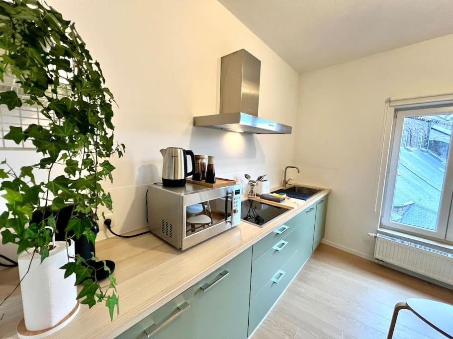 Duplex chic et spacieux - Hypercentre