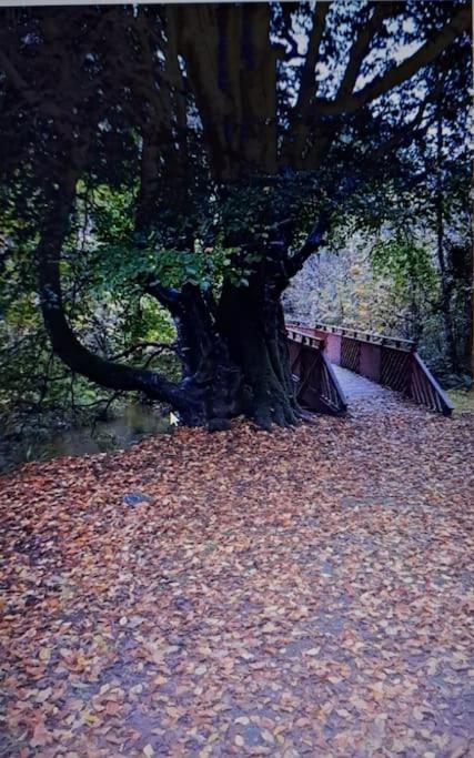 Shore View Apartment