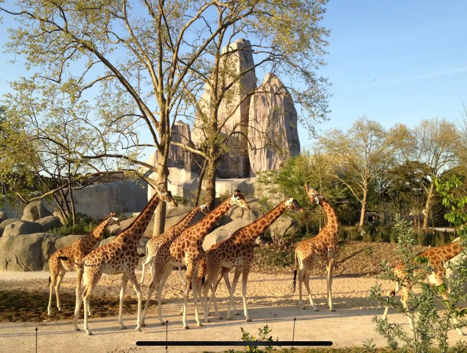 Ourasi - Hippodrome de Vincennes - Netflix