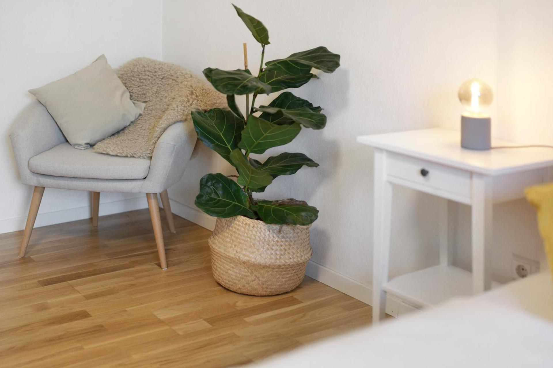 Ferienwohnung Obsthof Fieß