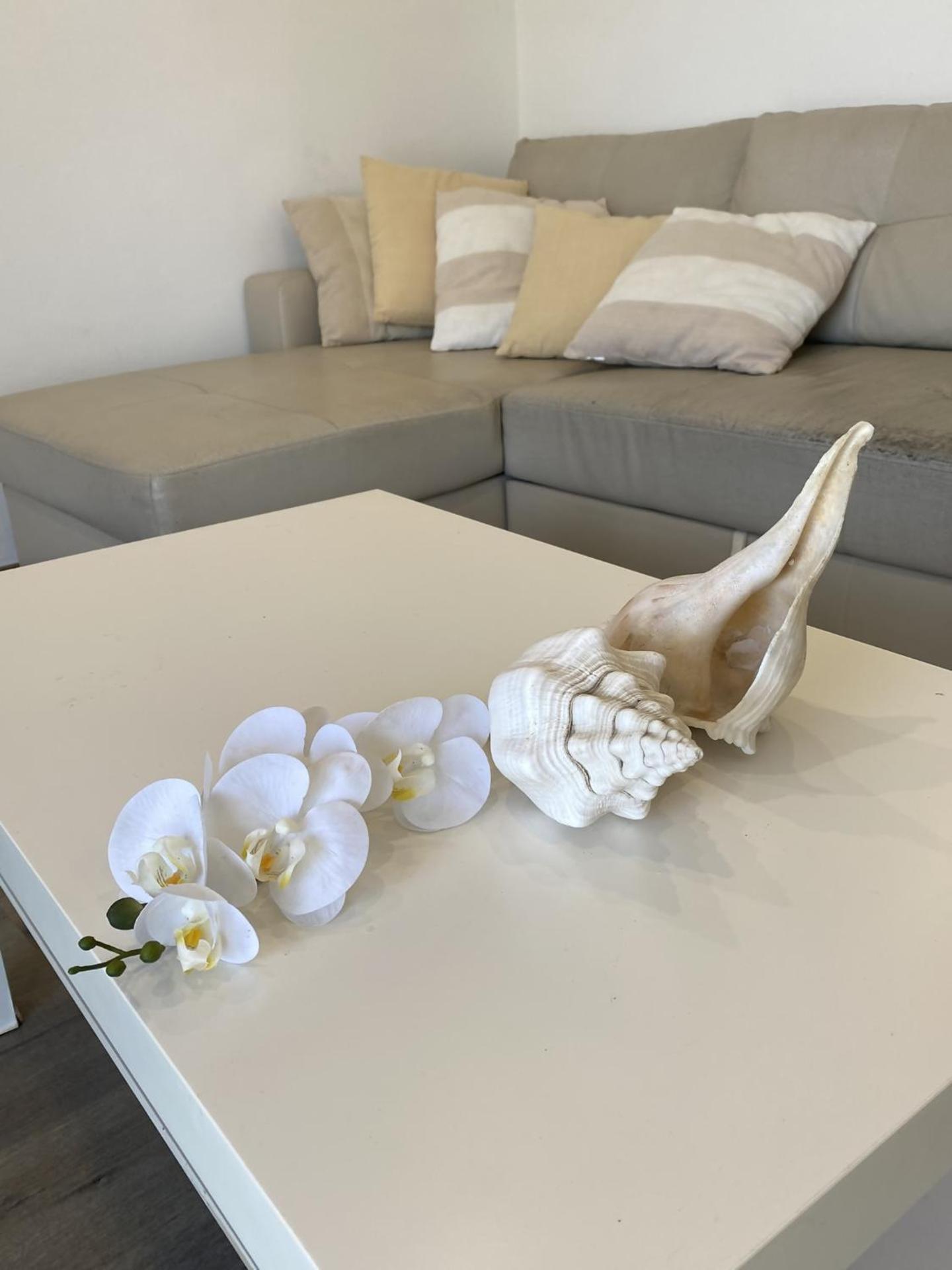 El Velero, una terraza al mar