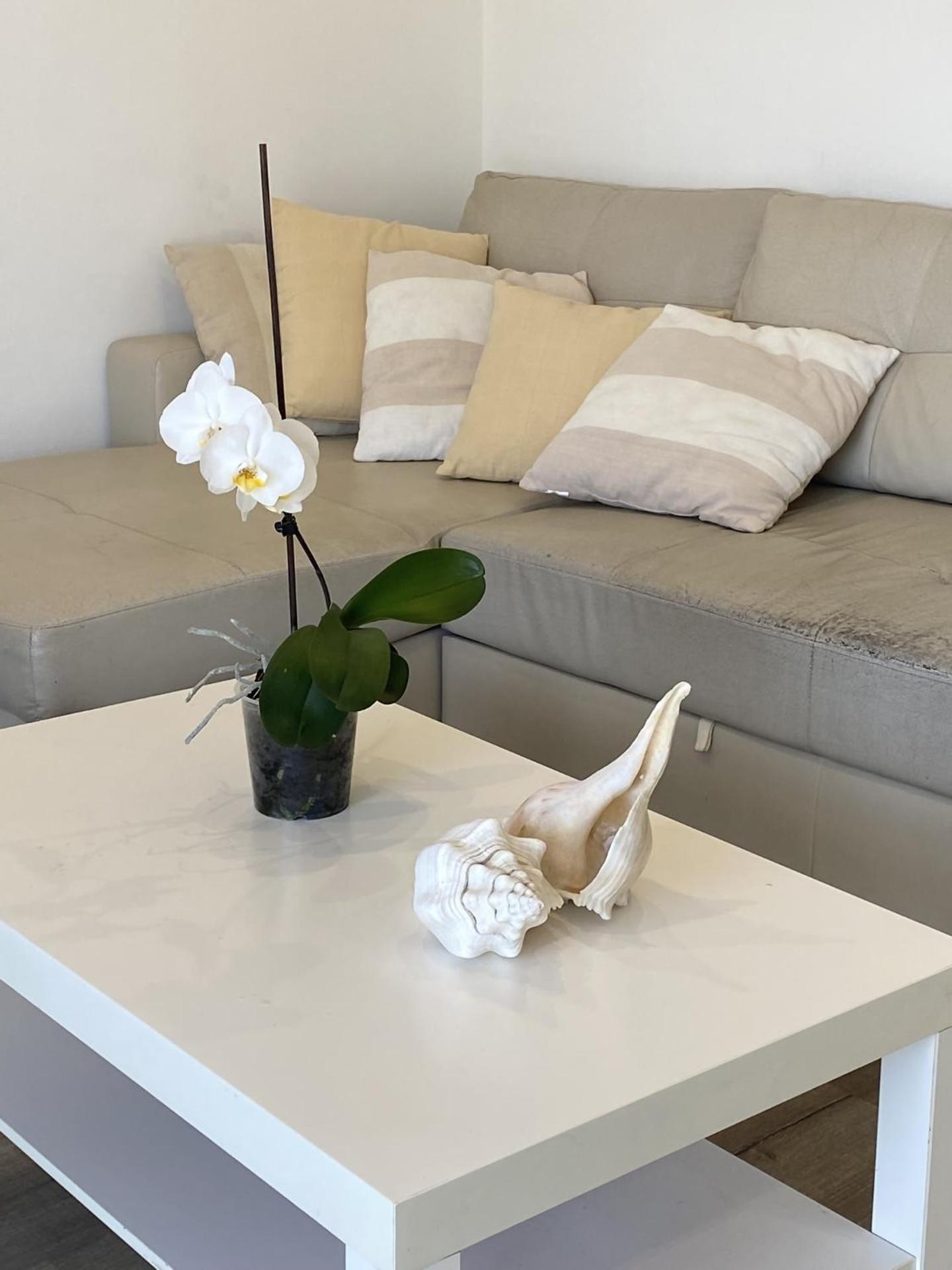 El Velero, una terraza al mar