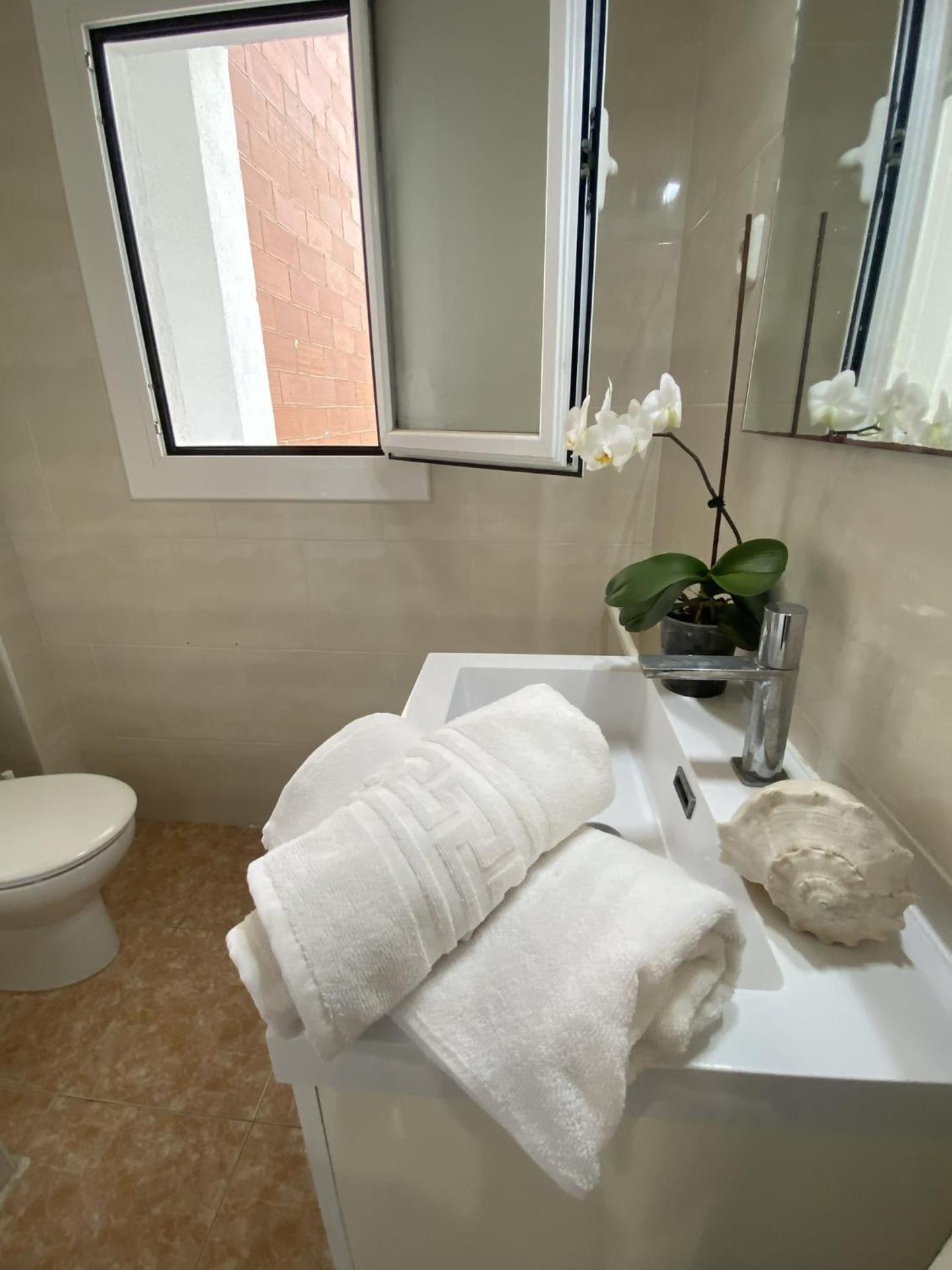 El Velero, una terraza al mar