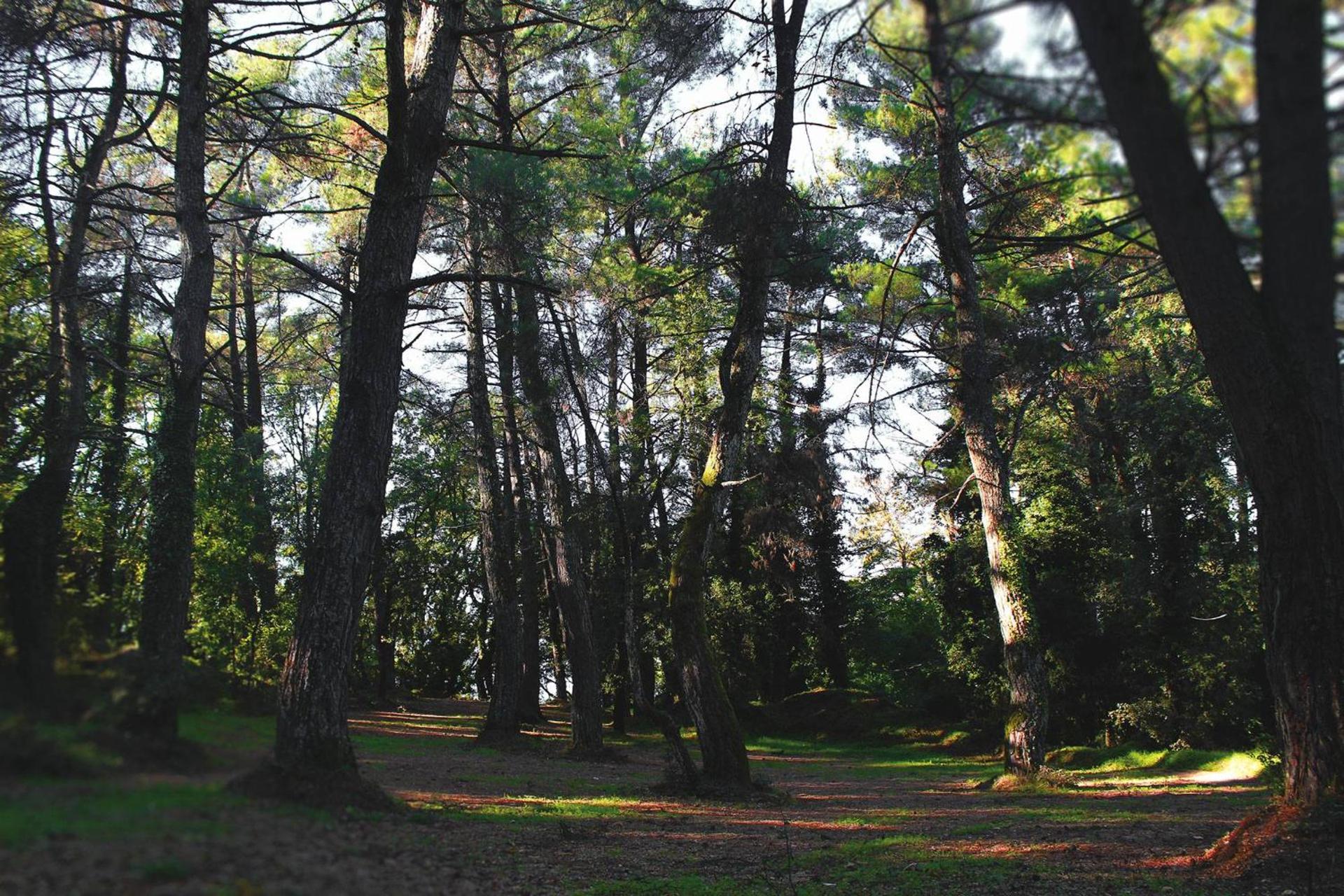 Agnanti Zitsas Hotel