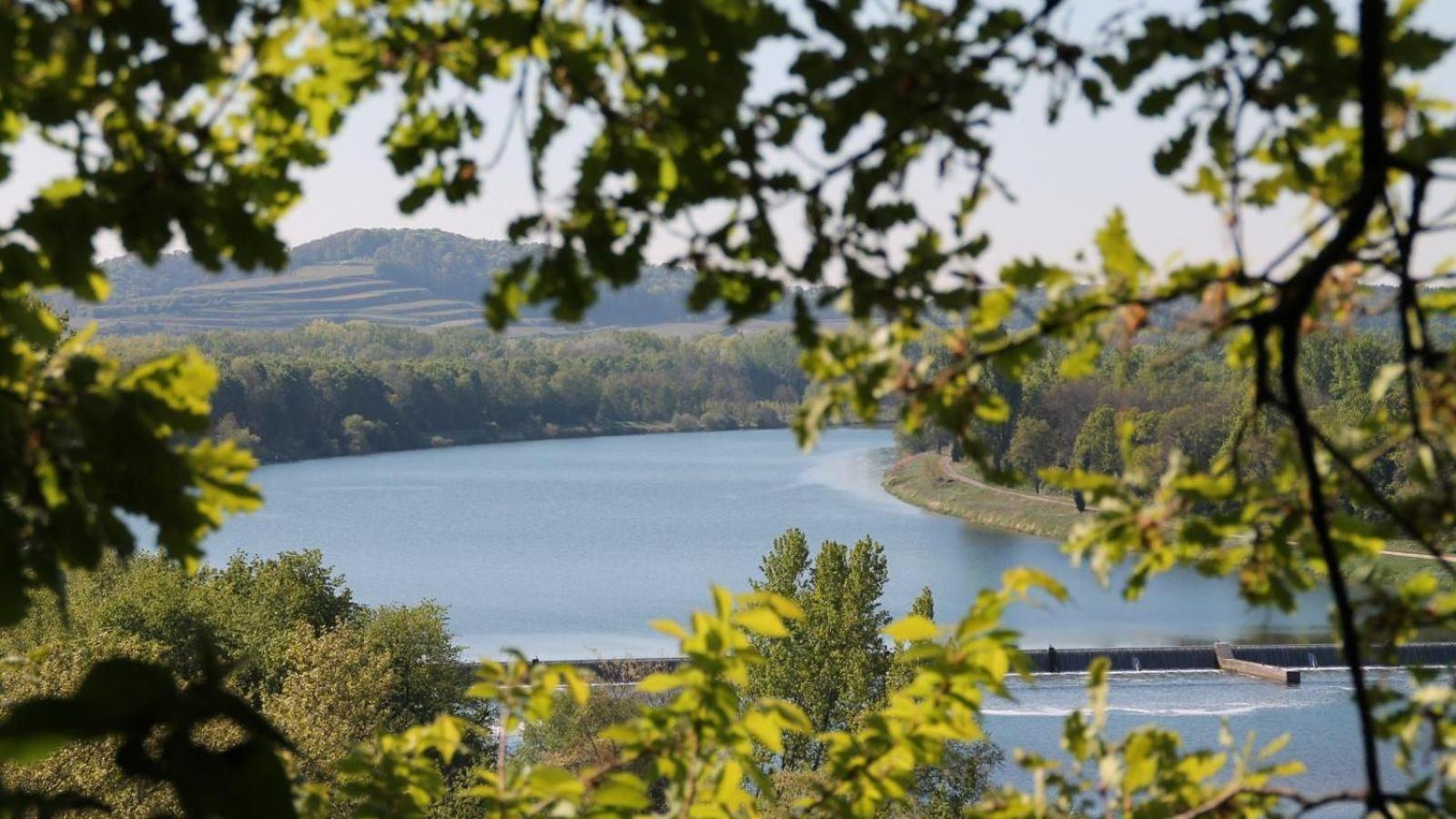 Villa Bonita del Kaiserstuhl