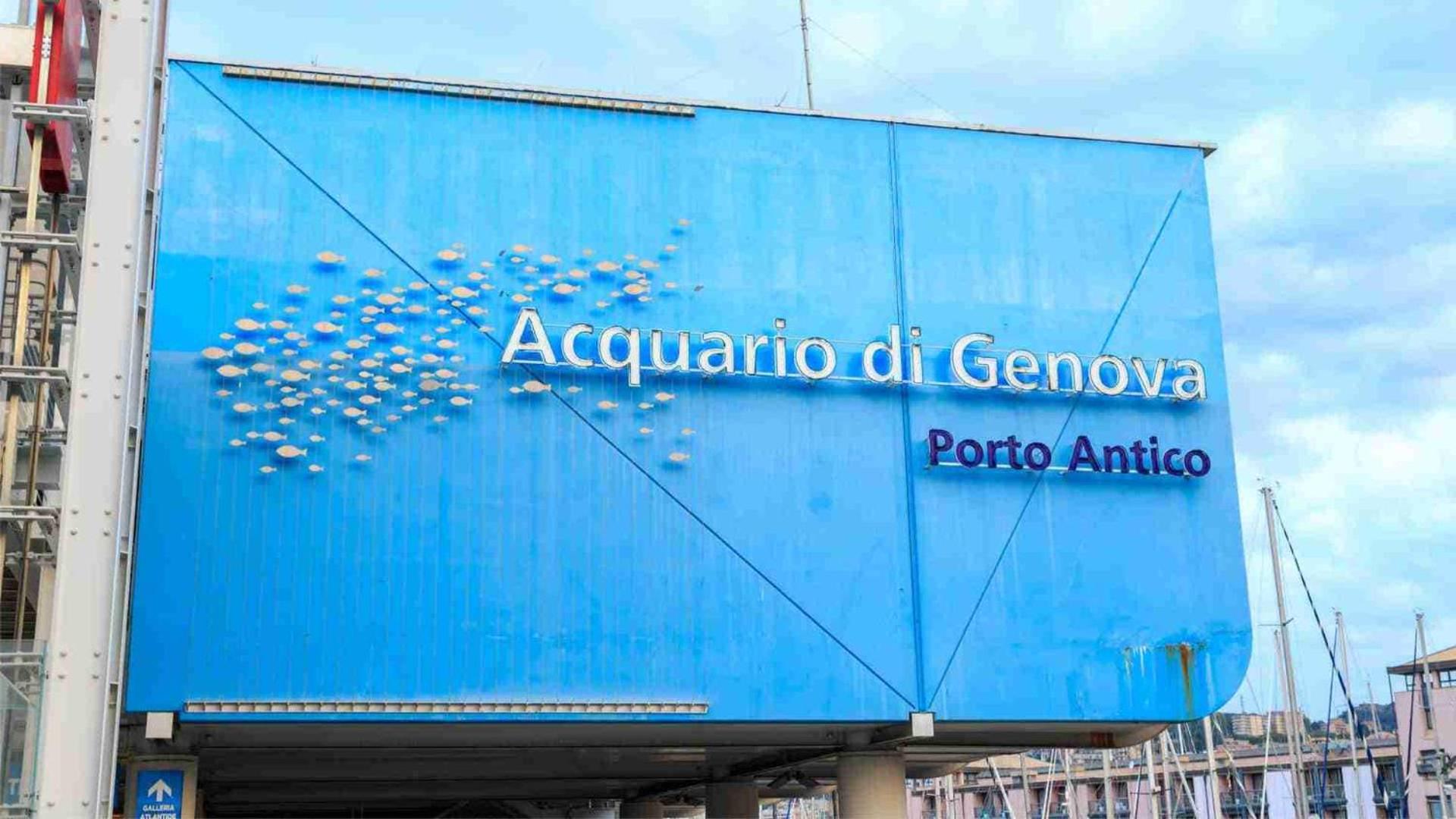 Logo/Certificate/Sign