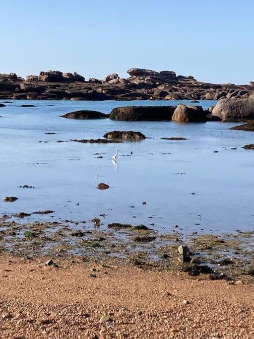 La Bernique blanche de Perros vue mer 4 personnes