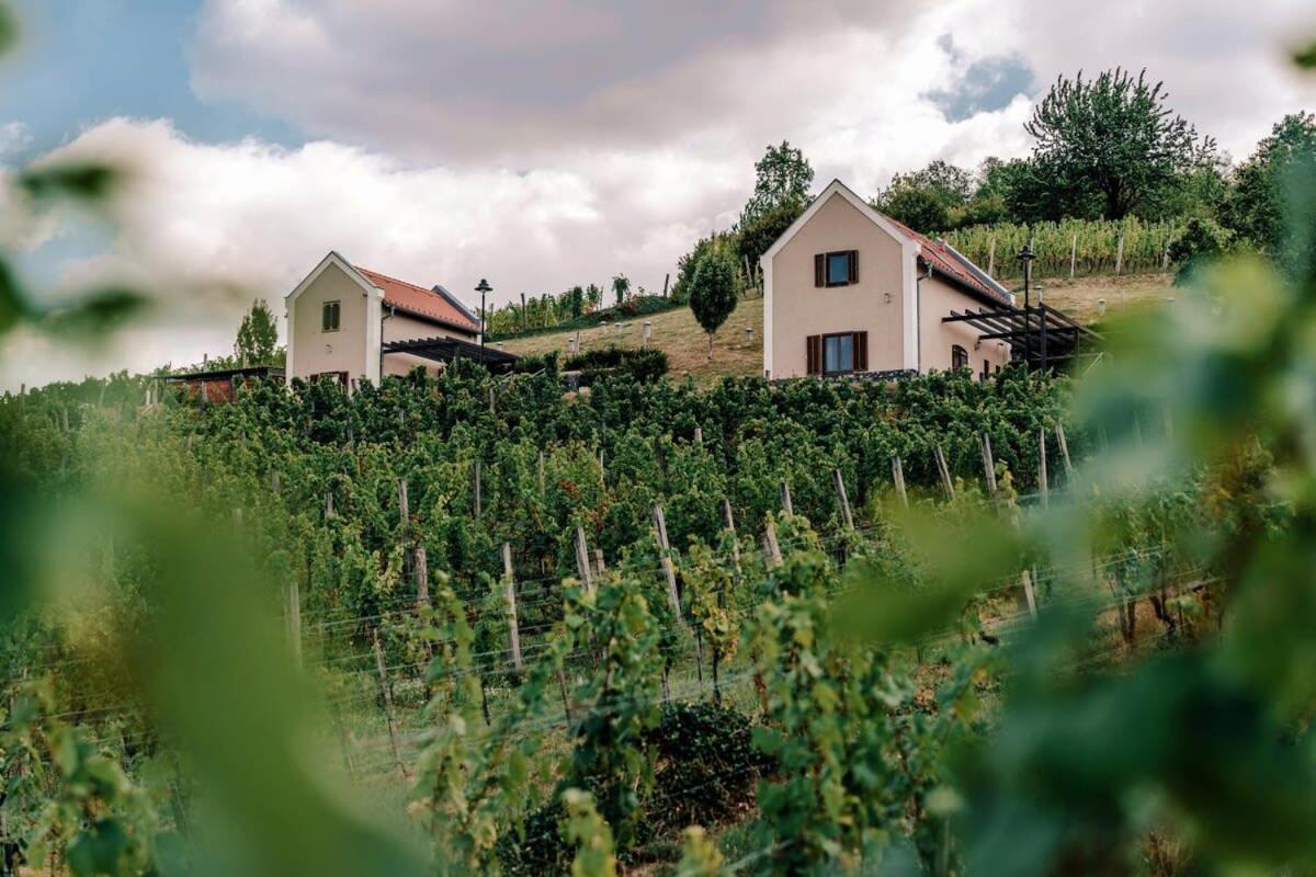 5 House Winery - Perfect Chill